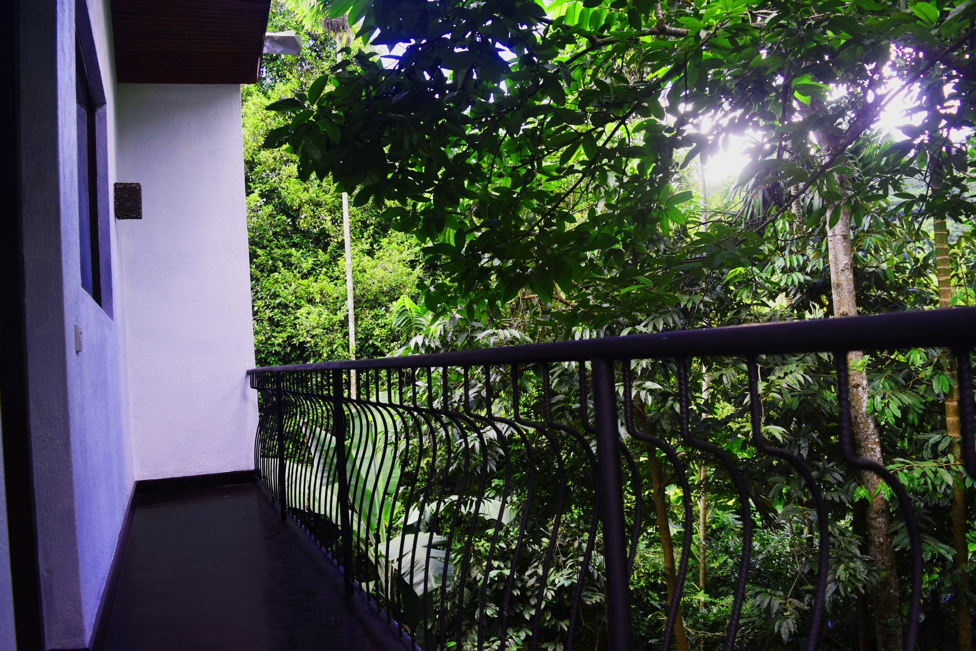 Hotel Avaana By Springhills Kandy Exterior foto