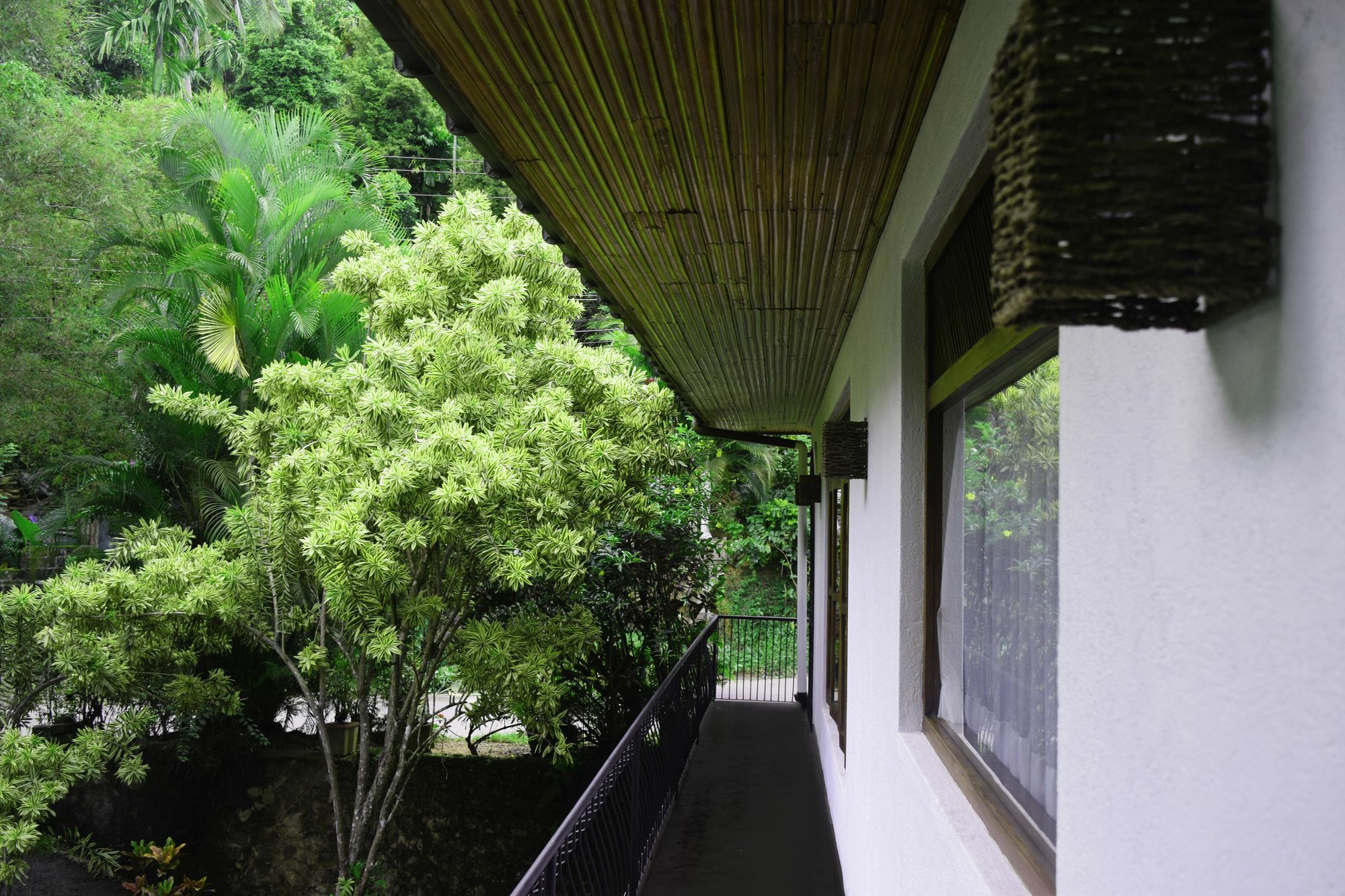 Hotel Avaana By Springhills Kandy Exterior foto